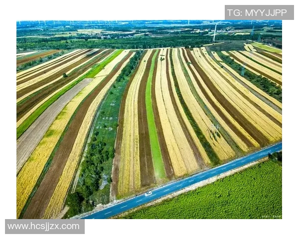 五谷丰登与农业可持续发展:探索传统农作物的未来价值与挑战